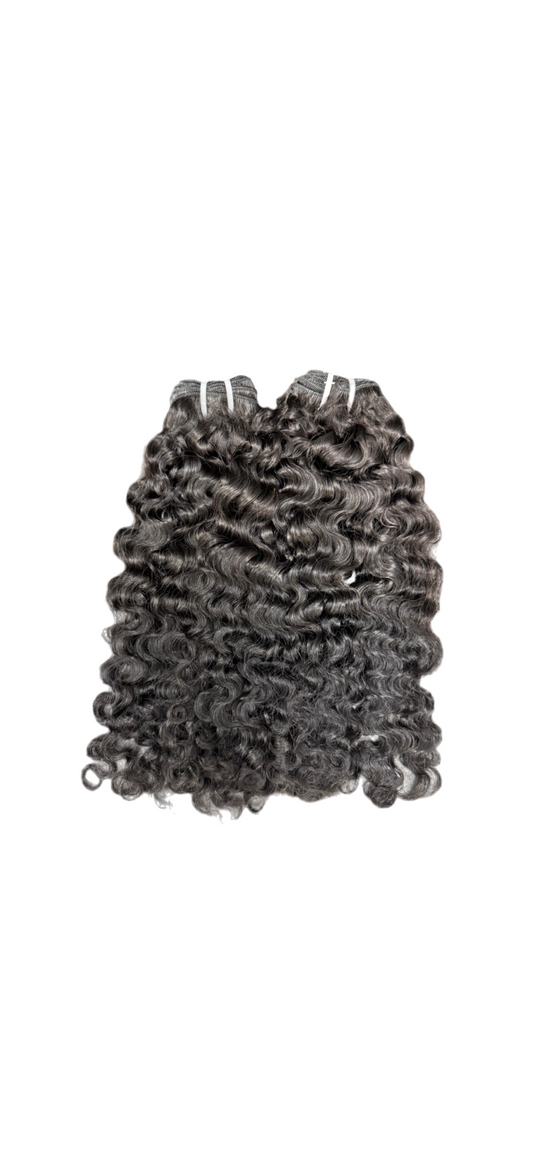 Burmese Curl (preorder)